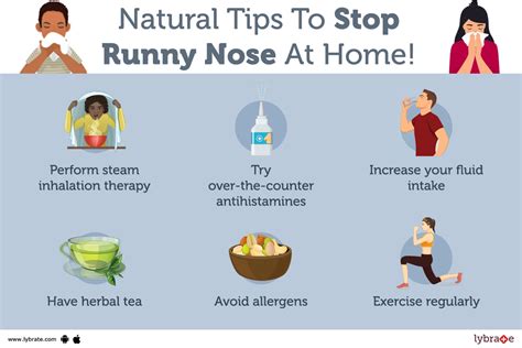 12 Tips To Relieve Your Runny Nose Or Nasal Congestion By Dr Satish 12 Tips To Relieve Your Runny Nose Or Nasal Congestion By Dr Satish