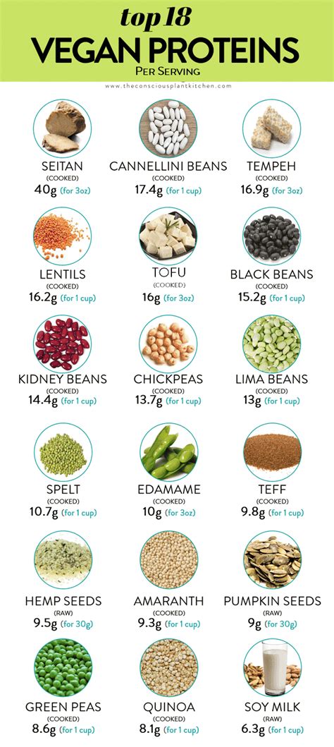 15 Great Vegetarian Protein Foods List How To Make Perfect Recipes
