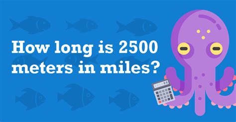 2500 Meters In Miles 2500 M To Mi
