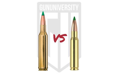 300 Win Mag Vs 308 Win 2026 Ammo Comparison