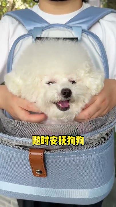 3D Backpack Breathable And Not Stuffy Comfortable For Dogs And Easy 3D Backpack Breathable And Not Stuffy Comfortable For Dogs And Easy