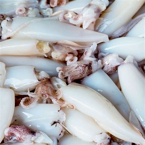 5 8 Tubes Tentacles Illex Squid