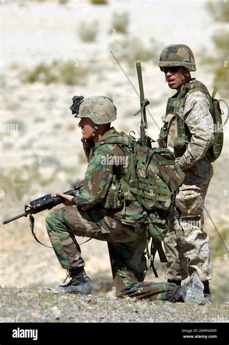 A Marine Student In The Infantry Officers Course Ioc And Armed With A Colt 5 56 Mm M16a2 Rifle Waits On One Knee During An Assault On The Delta Prospect Range At The A Marine Student In The Infantry Officers Course Ioc And Armed With A Colt 5 56 Mm M16a2 Rifle Waits On One Knee During An Assault On The Delta Prospect Range At The
