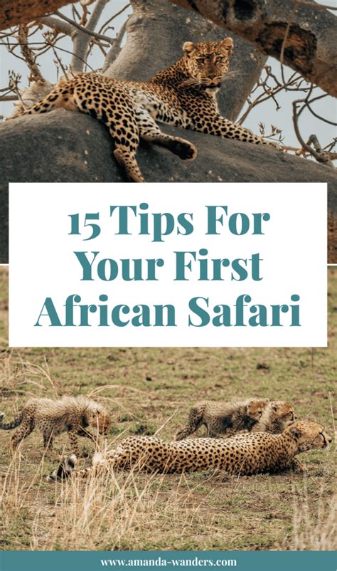 African Safari Tips 8 Things To Consider For A Safari African Safari Tips 8 Things To Consider For A Safari