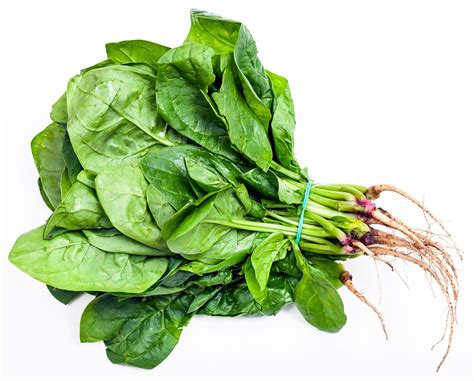 Amazon Com Fresh Spinach Bunch By Rawjoy Farms Grocery Gourmet Food