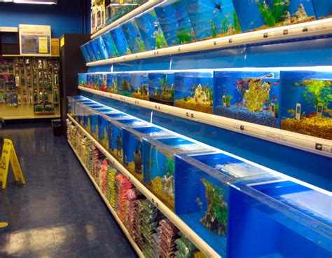 Aurora Colorado Tropical Fish Stores Around Me Sale Freshwater Fish Stores Near Me Store Black Friday Aurora Colorado Tropical Fish Stores Around Me Sale Freshwater Fish Stores Near Me Store Black Friday