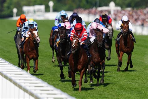 Bbc Radio 4 Scraps Daily Horse Racing Tips From Today Programme Radio 4 R Unitedkingdom Bbc Radio 4 Scraps Daily Horse Racing Tips From Today Programme Radio 4 R Unitedkingdom