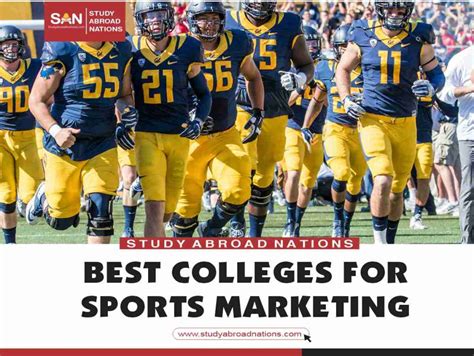 Best Colleges For Marketing