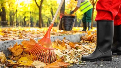 Best Leaf Removal Service In Fayetteville Easy Quote Online