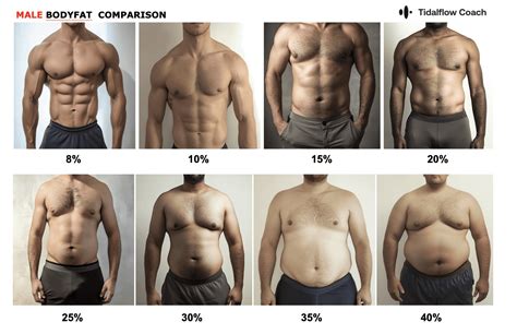 Body Fat Percentage Chart For Men Bodyspec Body Fat Percentage Chart For Men Bodyspec