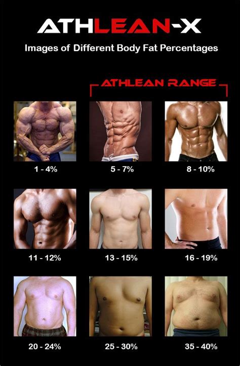 Body Fat Percentage Men How To Measure Bodyfat Athlean X Body Fat Percentage Men How To Measure Bodyfat Athlean X