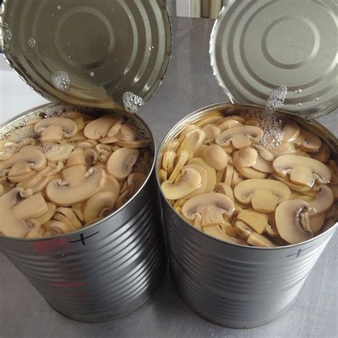 Canned Oyster Mushroom China Price Supplier 21Food Canned Oyster Mushroom China Price Supplier 21Food