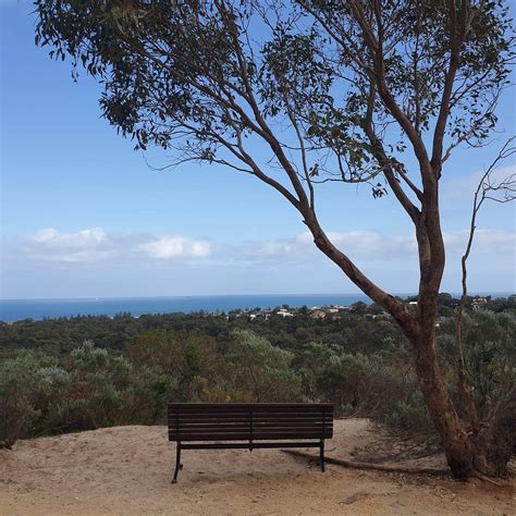 Centennial Center Park 2026 All You Must Know Before You Go With Reviews Centennial Center Park 2026 All You Must Know Before You Go With Reviews