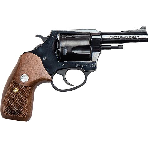 Charter Arms Bulldog 44 Special Revolver Academy