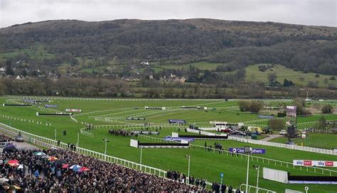 Cheltenham 2025
