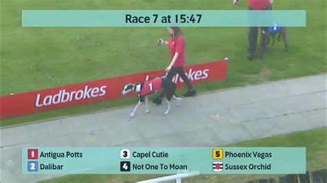 Crayford Greyhounds Races On 4Th May 2024 Crayford Greyhounds Races On 4Th May 2024