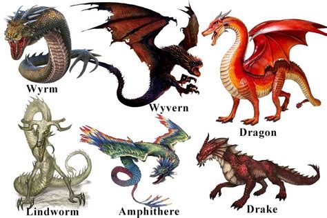 Do You Know The Difference Between A Dragon And A Drake Or Wyrm You