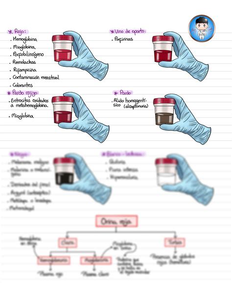 Examen F Sico Udocz Examen F Sico Udocz