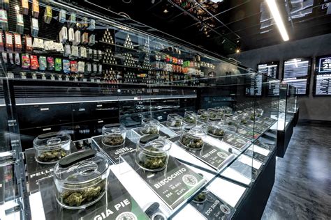Experience Oregrown The Best Cannabis Dispensary In Eugene Experience Oregrown The Best Cannabis Dispensary In Eugene