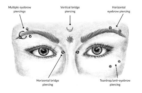 Eyebrow Piercings Piercing Locations And Names Eyebrow Piercings Piercing Locations And Names