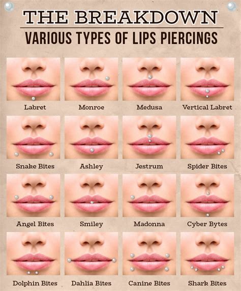 Face Piercings All Lip Piercing Names Lip Every Face Piercing Eye Different Types Of Face Piercings Face Piercings All Lip Piercing Names Lip Every Face Piercing Eye Different Types Of Face Piercings