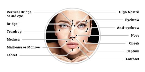 Face Piercings And Names