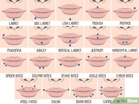 Facial Piercings Piercing Guide Bottom Lip Piercing Names Middle Lip Piercings Placement Aftercare Instructions Facial Piercings Piercing Guide Bottom Lip Piercing Names Middle Lip Piercings Placement Aftercare Instructions