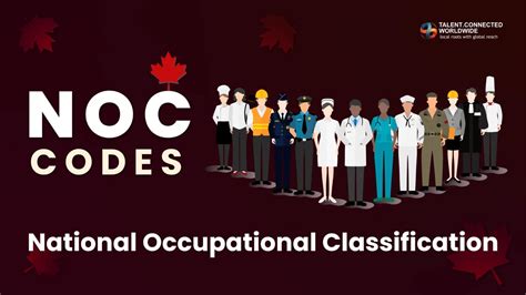 Federal Court Update Noc Codes Are Guidelines Not Checklists Visa Officers Cannot Assess Apprentices As Fully Qualified Workers Just Because They Share The Same Noc Job Context Training Status And Real Federal Court Update Noc Codes Are Guidelines Not Checklists Visa Officers Cannot Assess Apprentices As Fully Qualified Workers Just Because They Share The Same Noc Job Context Training Status And Real