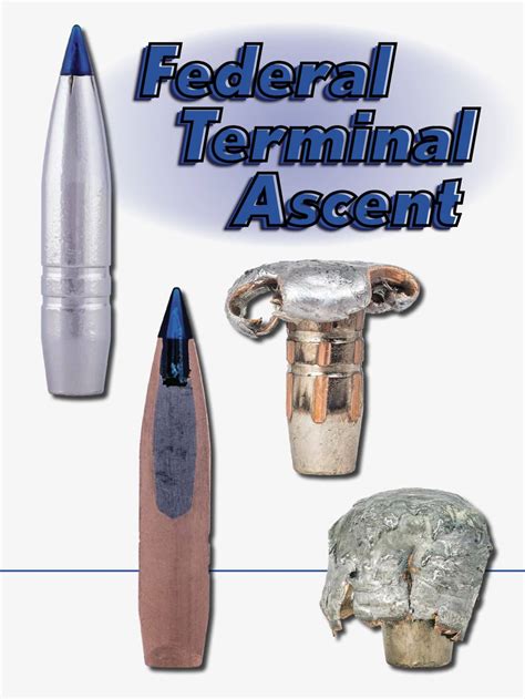 Federal Terminal Ascent Bullets