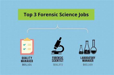 Forensic Science Jobs With Biology Degree At Claudia Sutton Blog