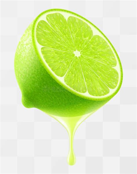 Fresh Lime Juice Logo Stock Illustrations 7 449 Fresh Lime Juice Logo Fresh Lime Juice Logo Stock Illustrations 7 449 Fresh Lime Juice Logo