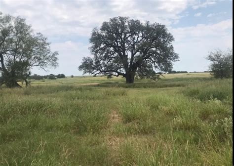 Frio County 40 Acres Hunting Land For Sale Huntinglocator Com Frio County 40 Acres Hunting Land For Sale Huntinglocator Com