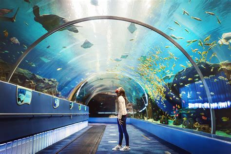 Georgia Aquarium Tunnel