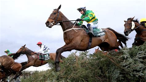 Grand National Tips And Who The Experts Think Will Win In 2025 Grand National Tips And Who The Experts Think Will Win In 2025