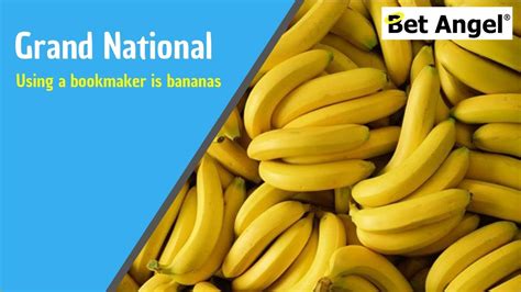 Grand National Tips Why Using A Bookmaker Is Bananas Greenuptv Grand National Tips Why Using A Bookmaker Is Bananas Greenuptv