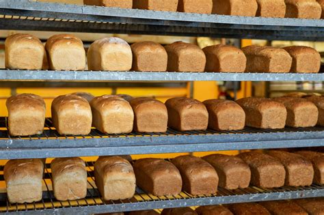 Great Harvest Bread Co Missoula Mt Bakery And Sandwich Shop Great Harvest Bread Co Missoula Mt Bakery And Sandwich Shop