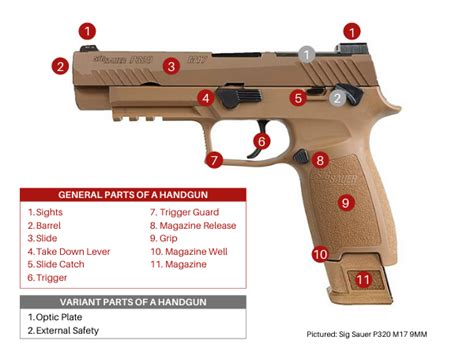 Gun Anatomy Basic Parts Infographics