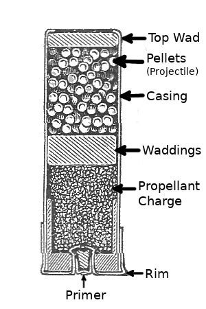 Gunshot Injuries In Forensic Medicine Blog Of Dr Agnibho Mondal