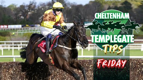 He Ll Go Off Half The Price Templegate S Cheltenham Festival Ante Post Tips Https T Co Ctyhmzhru1