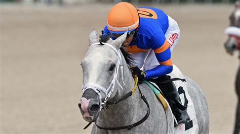 Horse Racing Entries Results And Stakes Schedules Gulfstream Park Horse Racing Entries Results And Stakes Schedules Gulfstream Park