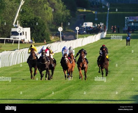 Horse Racing Lingfield Races Hi Res Stock Photography And Images Alamy Horse Racing Lingfield Races Hi Res Stock Photography And Images Alamy