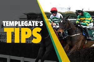 Horse Racing Tips She Could Be Very Smart Templegate S Nap To Burst Through Under Top Jockey