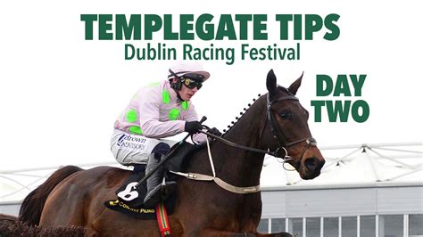 Horse Racing Tips Templegate Predicts A Fantastic Five Winners For Willie Mulli