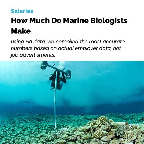 How Much Do Marine Biologists Make Based On Actual Job Offers Optim How Much Do Marine Biologists Make Based On Actual Job Offers Optim