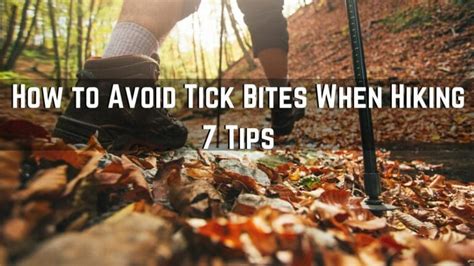 How To Avoid Tick Bites When Hiking 7 Easy Strategies How To Avoid Tick Bites When Hiking 7 Easy Strategies
