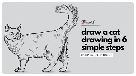 How To Draw A Cat Drawing In 6 Simple Steps Drawlish How To Draw A Cat Drawing In 6 Simple Steps Drawlish
