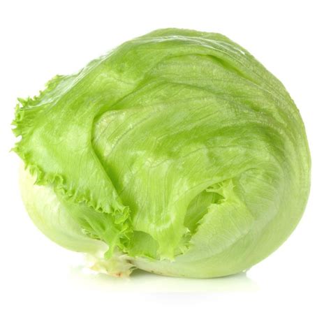 Iceberg Lettuce Gwprice Ltd