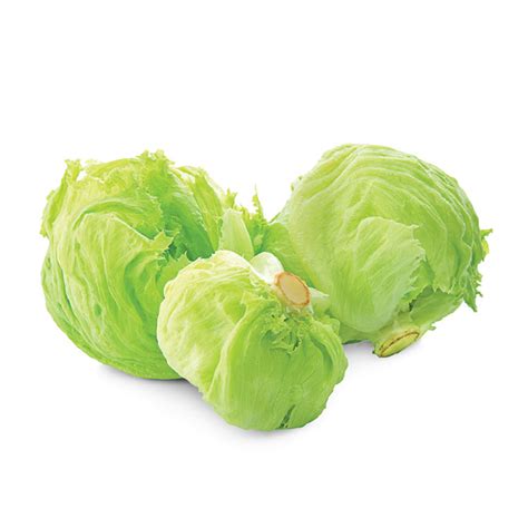 Iceberg Lettuce Price Buy Online At Best Price In India