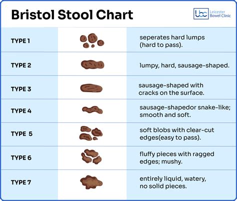 Identifying Types Of Poop With The Bristol Stool Chart And More Identifying Types Of Poop With The Bristol Stool Chart And More