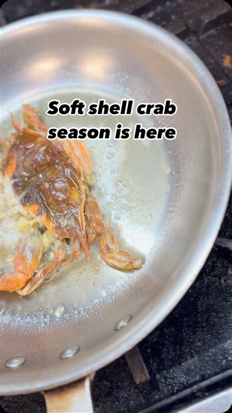 It S Surf And Turf Season Baby Even If The Weather Forgot We Are Liveish At Jacksurfturf In Montclair Nj And This Place Cured My Soul Like A Warm Weather Beach Shack Dream From The Moment